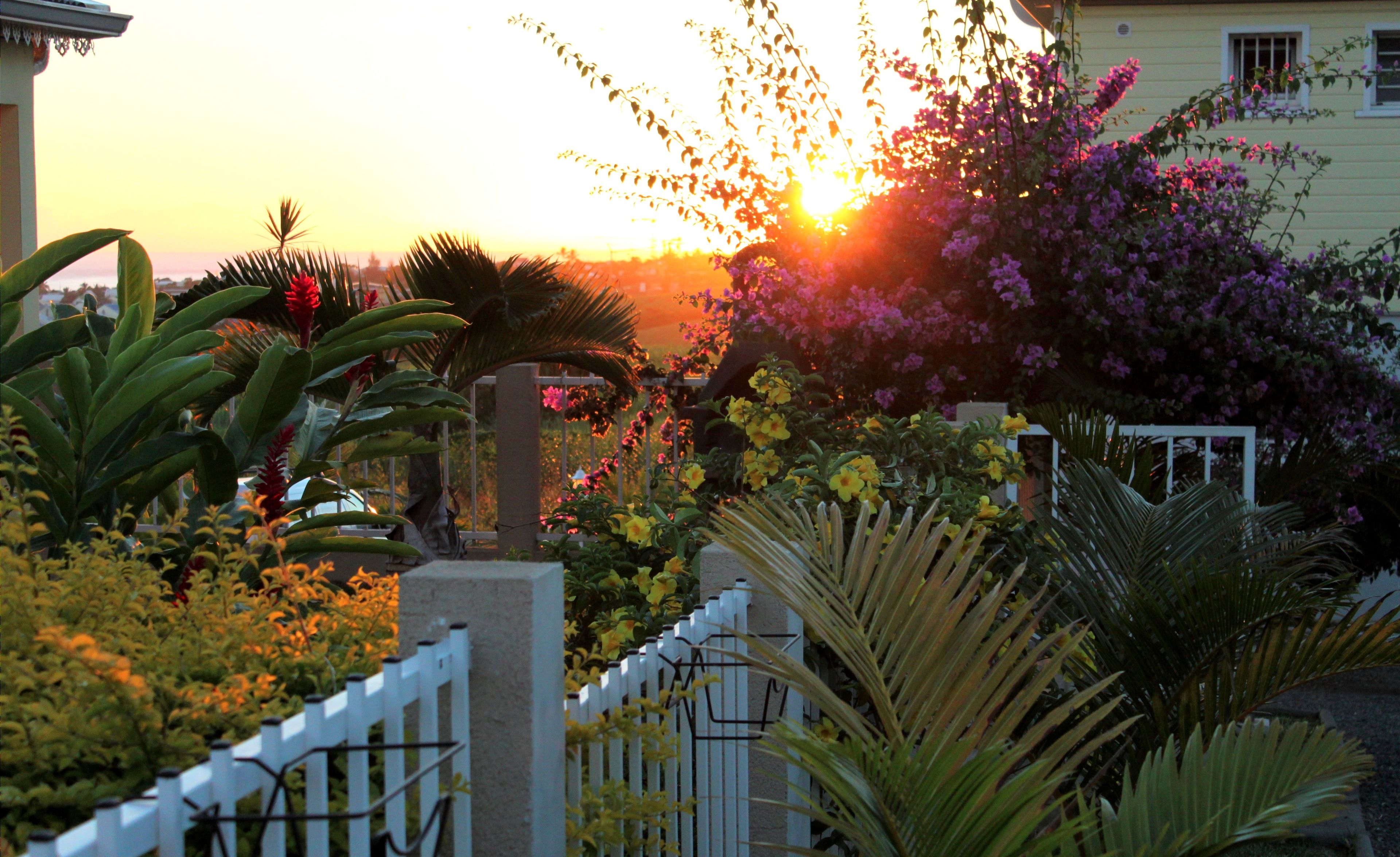 Premium Villa, 3 Bedrooms, Kitchen | Garden