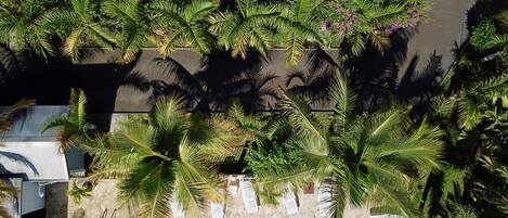 Outdoor pool, open 8:00 AM to 8:00 PM, pool umbrellas, sun loungers