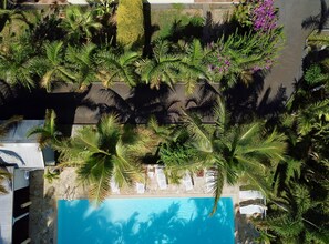 An aerial view of a resort with a swimming pool surrounded by palm trees and a stone wall. - L'Oasis de Terre Rouge (Saint-Pierre)