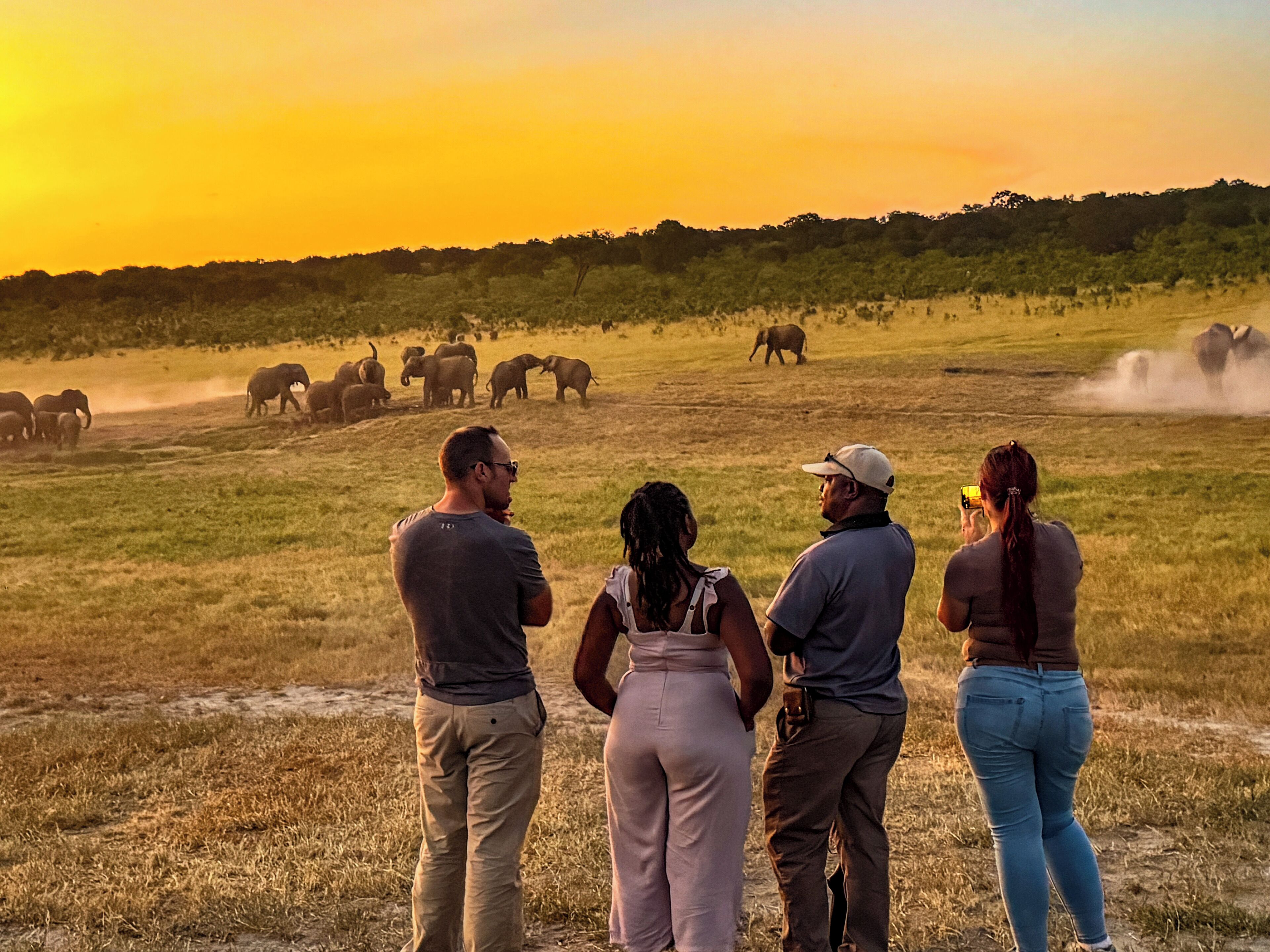 A group of people observing elephants in a grassy field during sunset.