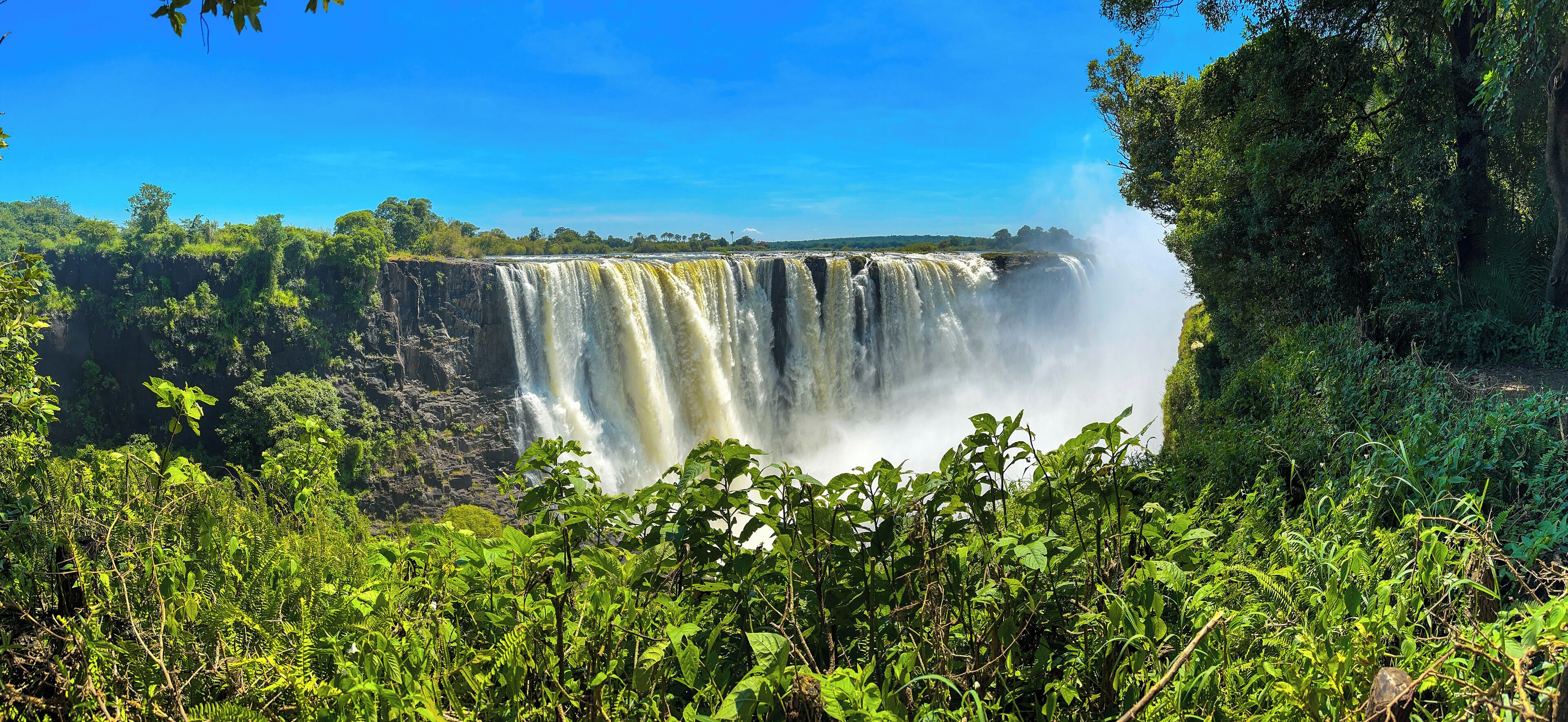 A waterfall surrounded by lush greenery.