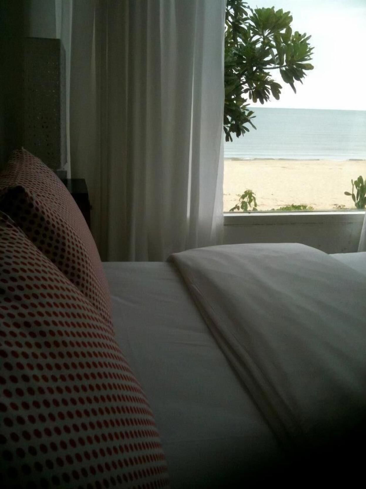 折疊床/加床、免費無線上網