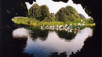 Un lac paisible où se reflètent les arbres et les oiseaux, vu à travers l’ouverture d’une grotte.