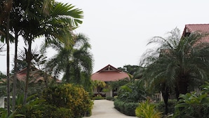 A pathway leading to a building with a red-tiled roof, surrounded by lush greenery and palm trees.