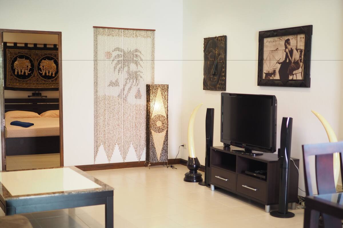 Un salon moderne avec un lit, une télévision et des objets de décoration.