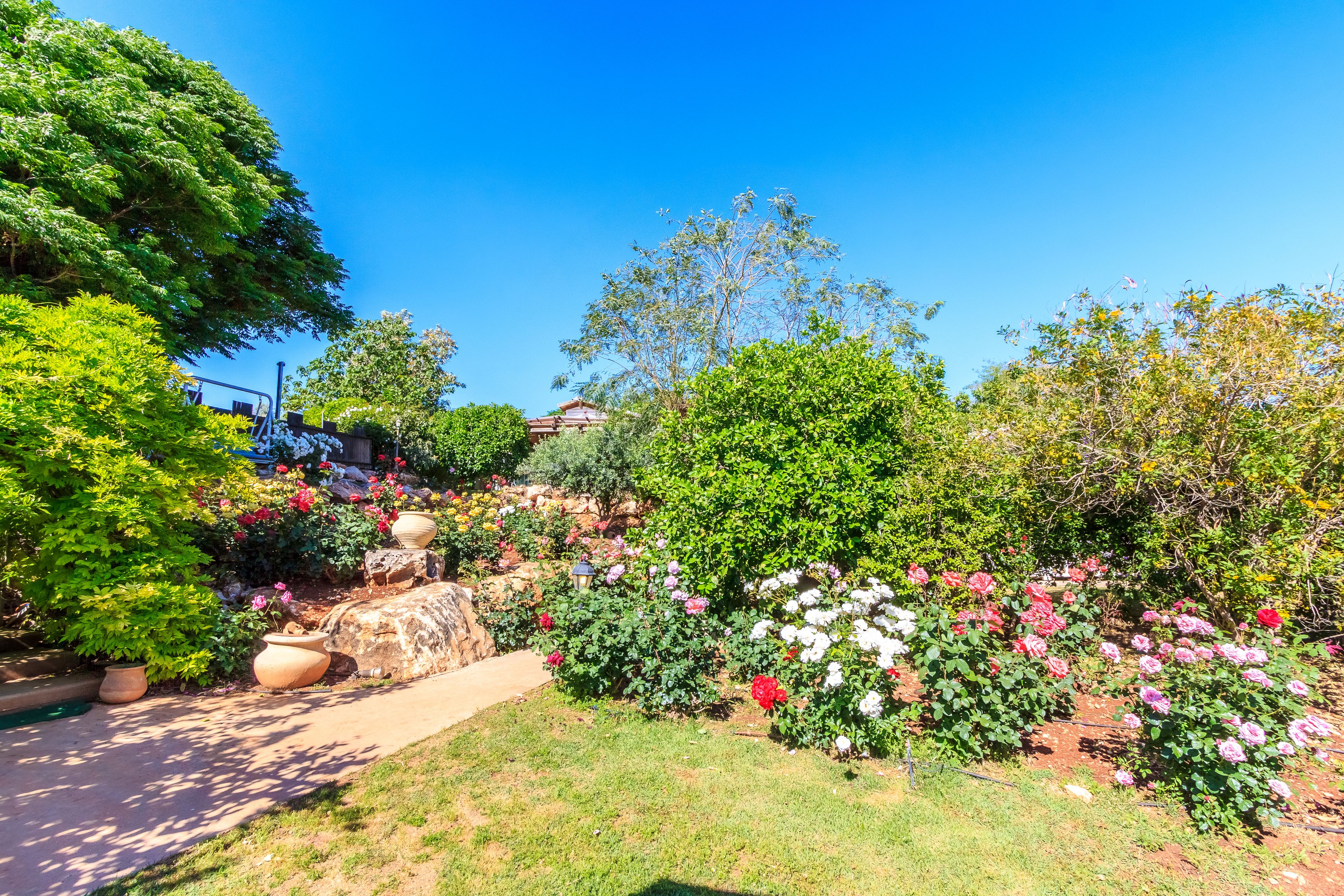 A garden with various plants and flowers, a pathway, and a building in the background.