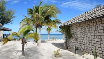 Overlooking the ocean, this beachfront building features a stone wall and lush tropical surroundings.