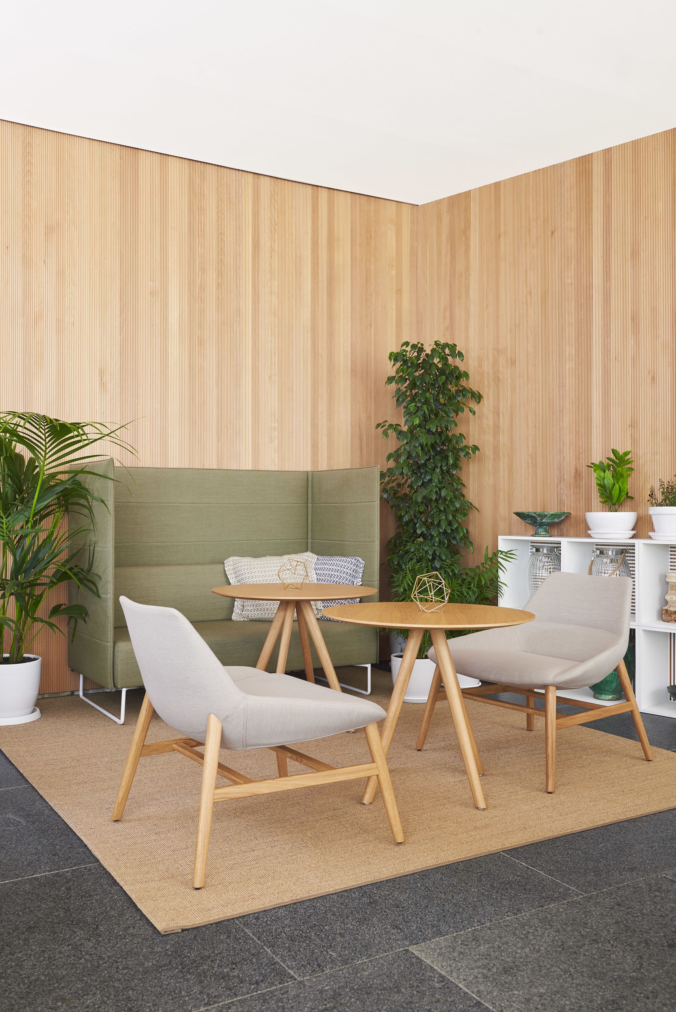 A modern lounge area with a green sofa, two white armchairs, a round wooden table, and a large potted plant.
