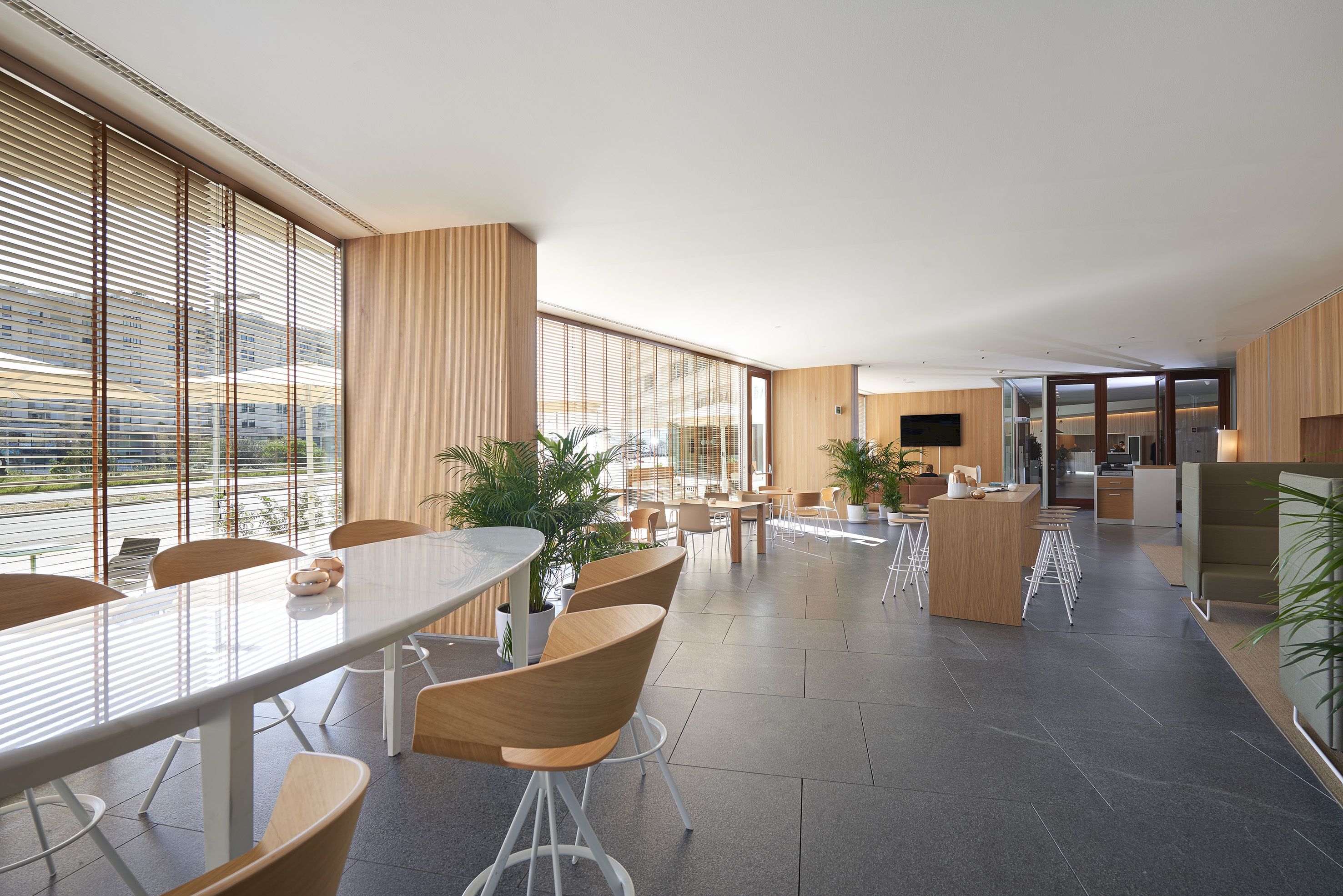 A modern dining area with a long table and chairs, large windows, and a kitchen in the background.