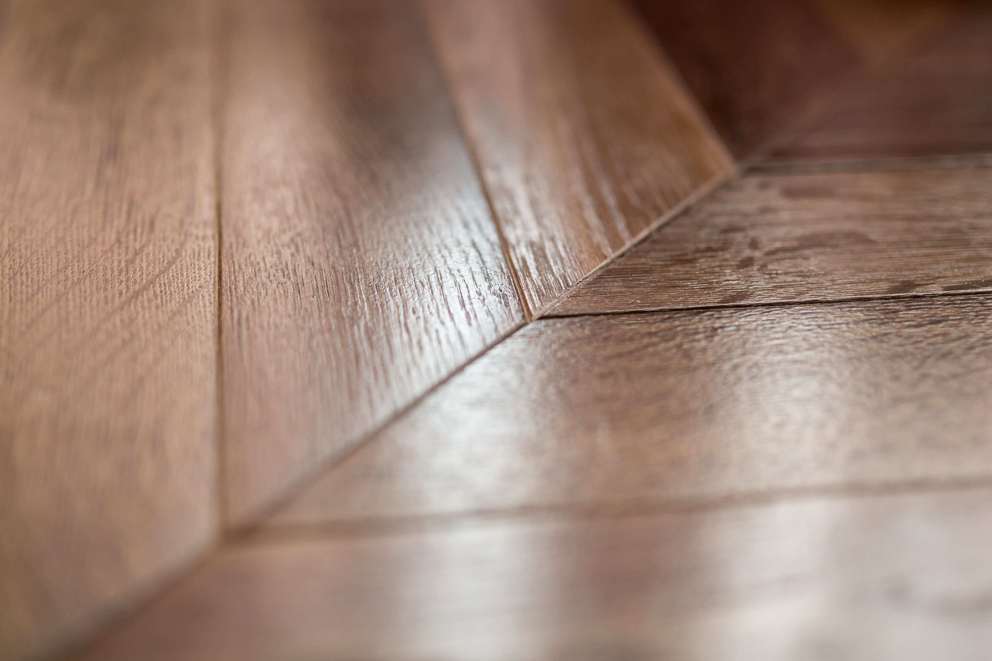 Foto - Hotel The Haven Roma