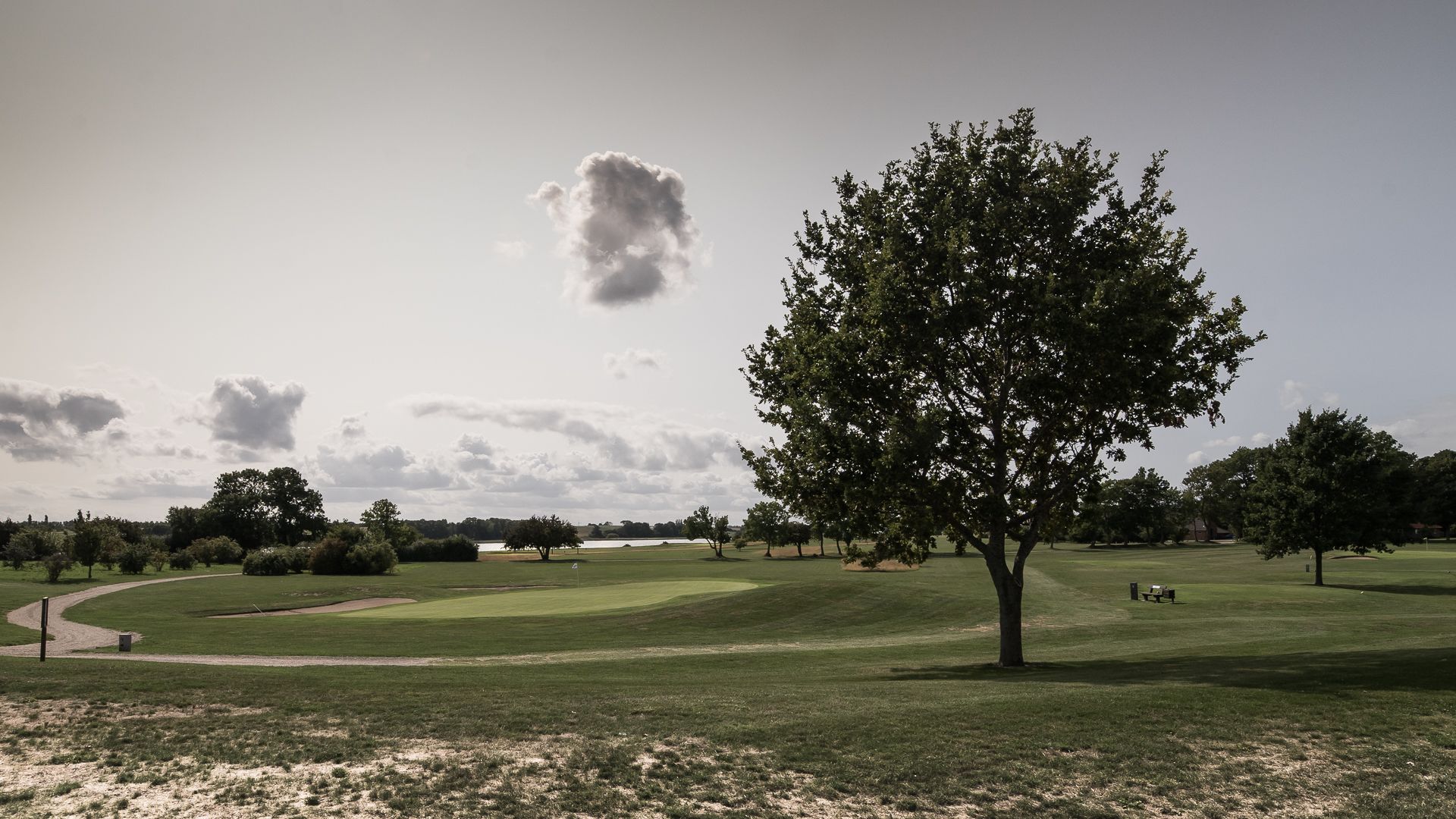 Un campo de golf con un árbol grande al frente, un camino y un cuerpo de agua a lo lejos.
