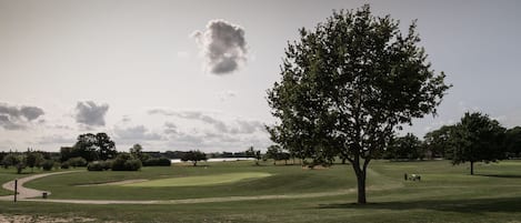 A golf course with a large tree in the foreground, a path, and a body of water in the distance.