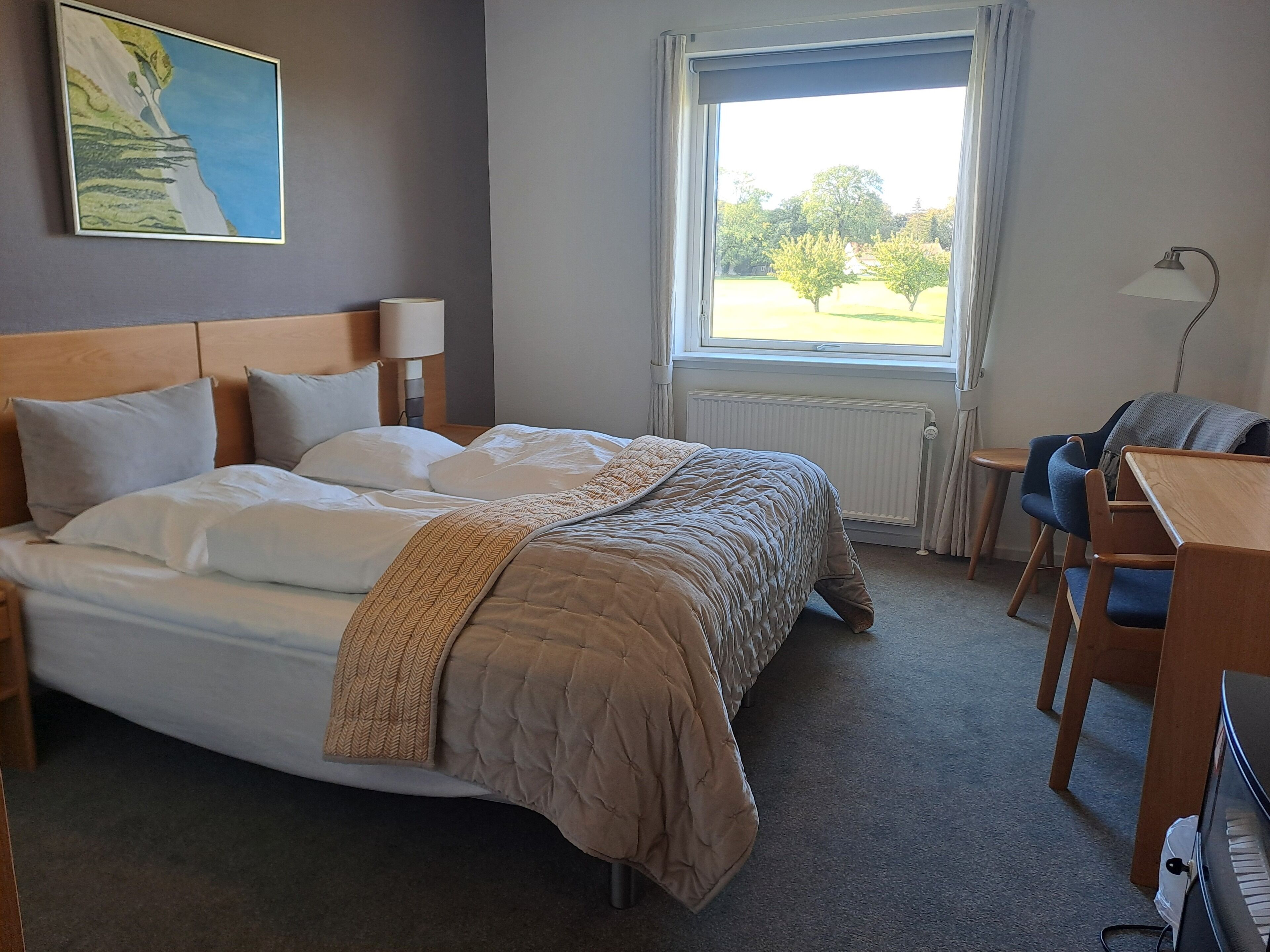 A neatly made bed with a headboard, a small table with a lamp, and a view of a park through a window.
