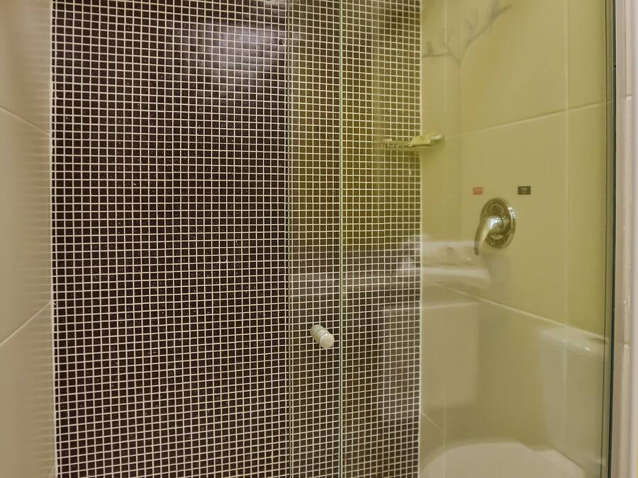 A glass-enclosed shower area with a tiled wall and a white toilet.