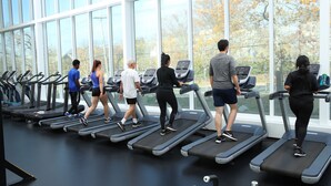 A gym with multiple treadmills aligned in rows, large windows, and a view of trees outside. - Dalhousie University Accommodations (Halifax)