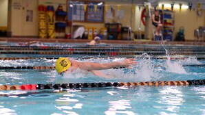 A swimmer in a pool with lane dividers and a starting block. - Dalhousie University Accommodations (Halifax)