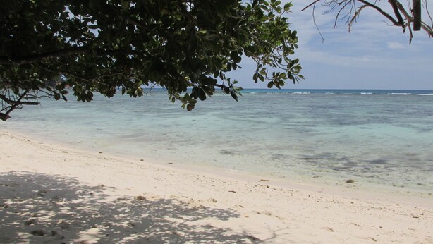 Beach nearby, white sand - The House Self-catering (Praslin Island)