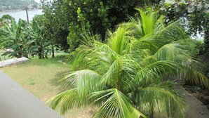 Property grounds - The House Self-catering (Praslin Island)