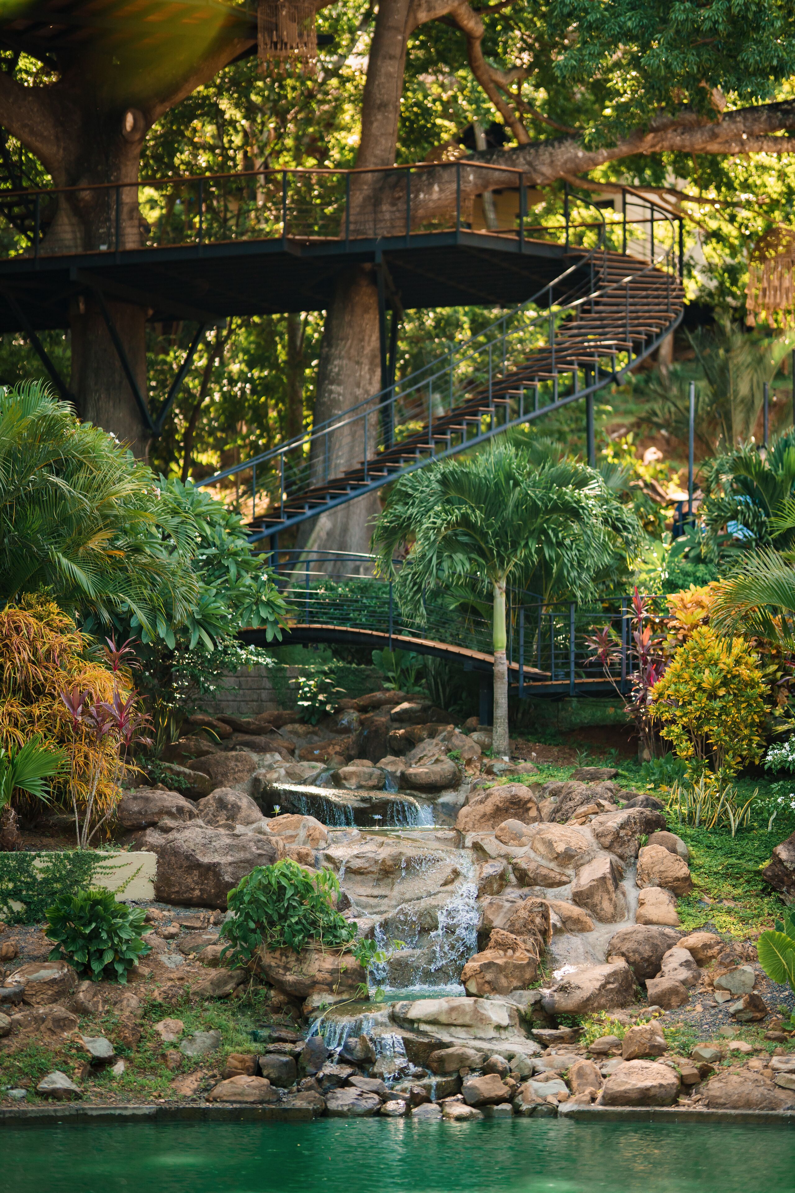 A garden with a waterfall, a wooden bridge, and a staircase.