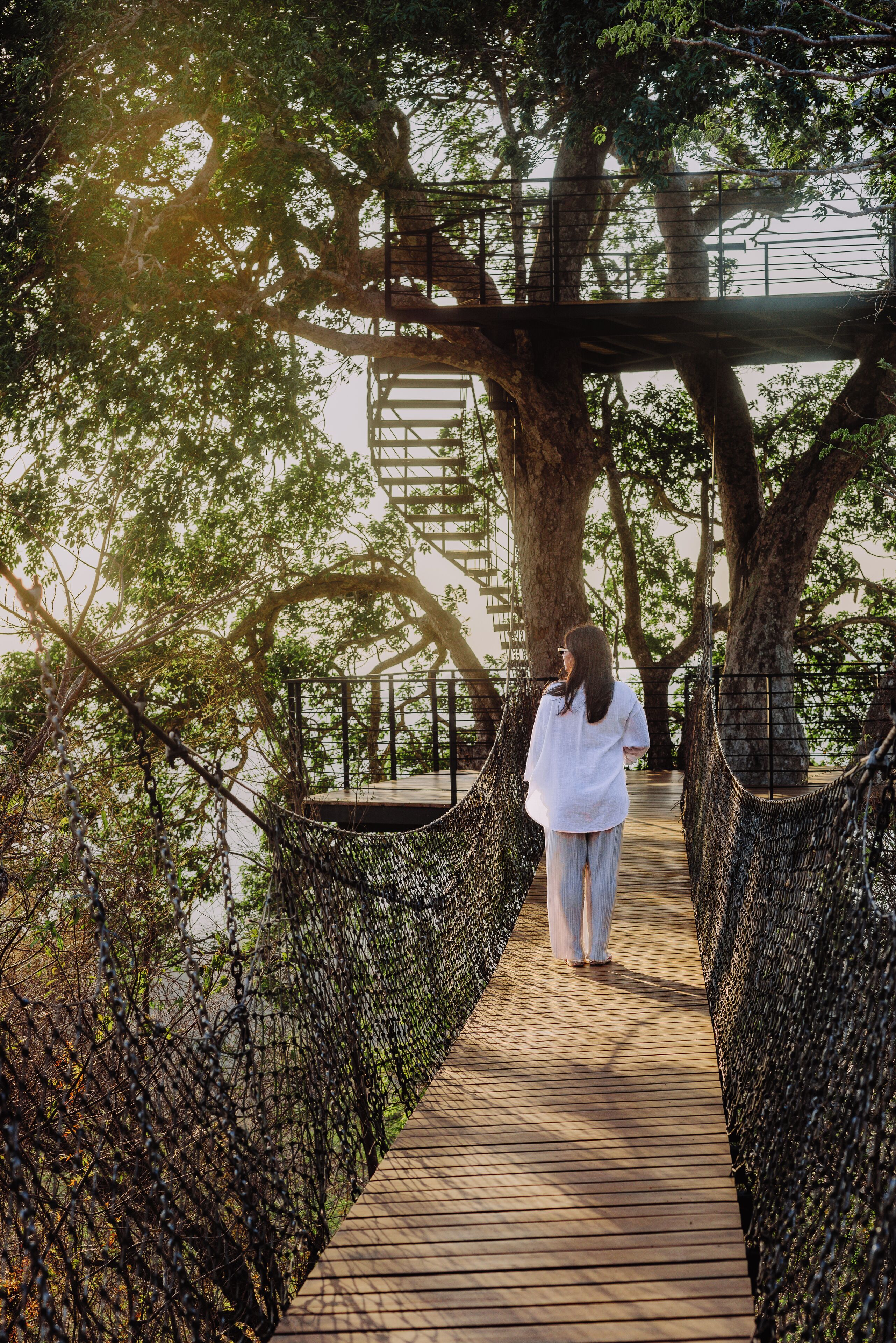 A person walking on a wooden bridge with a netted railing, surrounded by large trees.