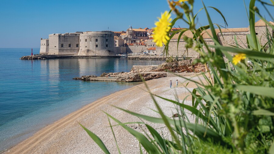 Ragusina luxury apartments