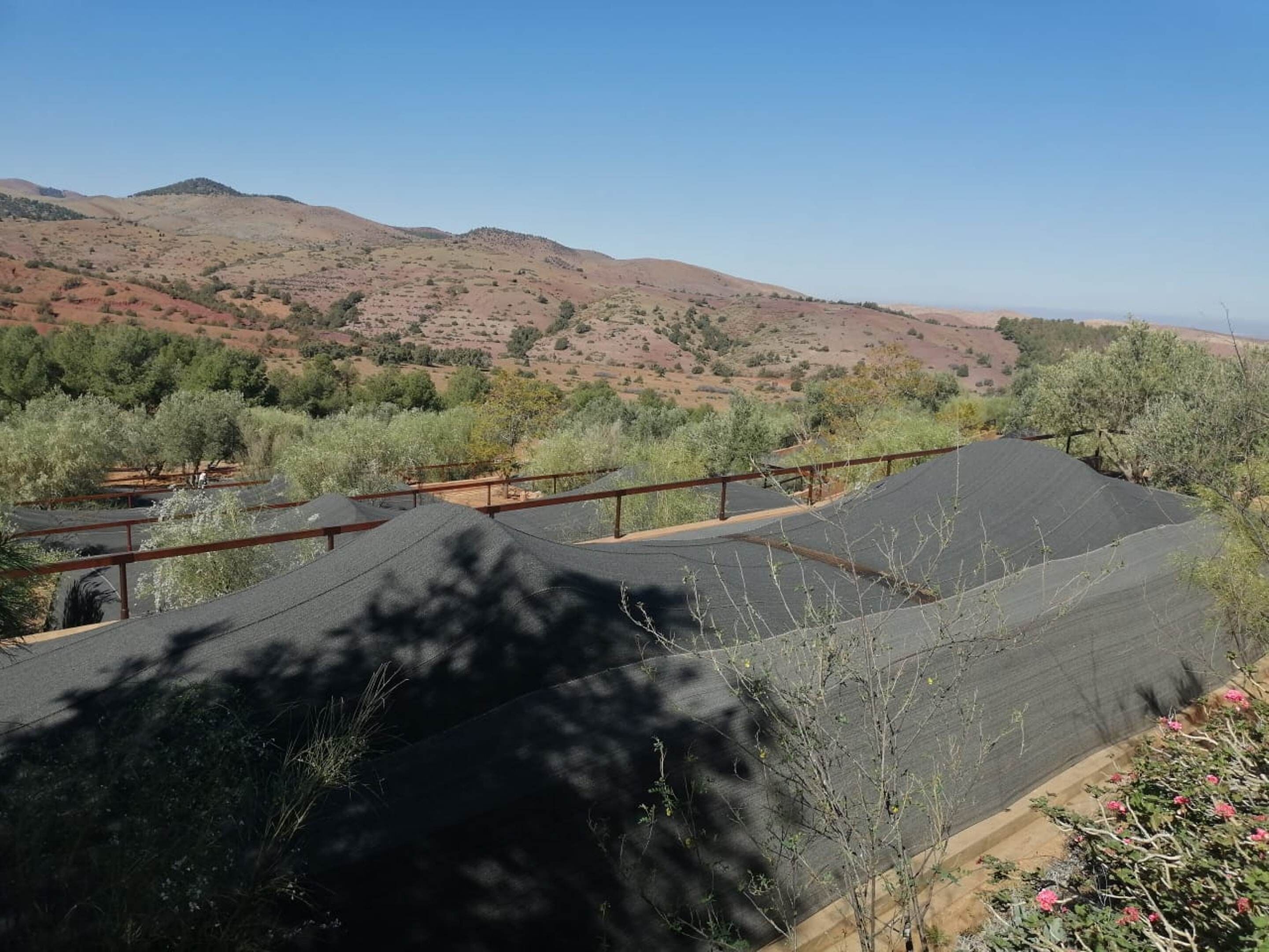 tent (lodge) | view from room