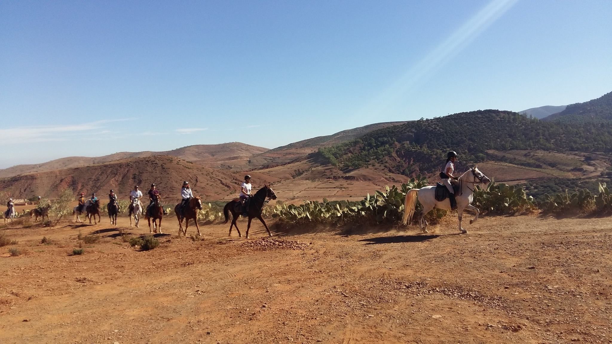 Un groupe de personnes à cheval, évoluant sur un chemin de terre, avec un paysage montagneux en arrière-plan.