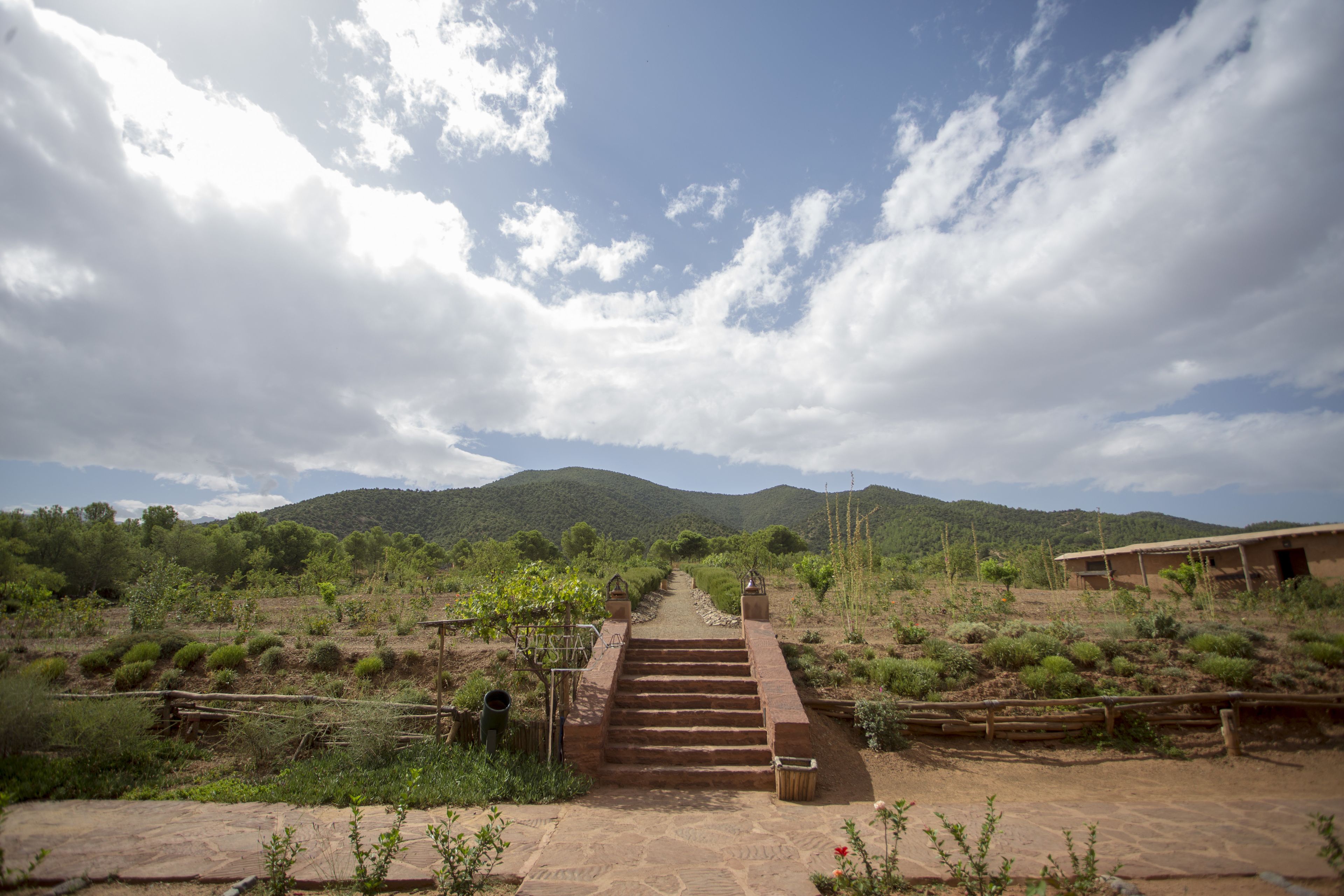 suite (ecolodge) | view from room
