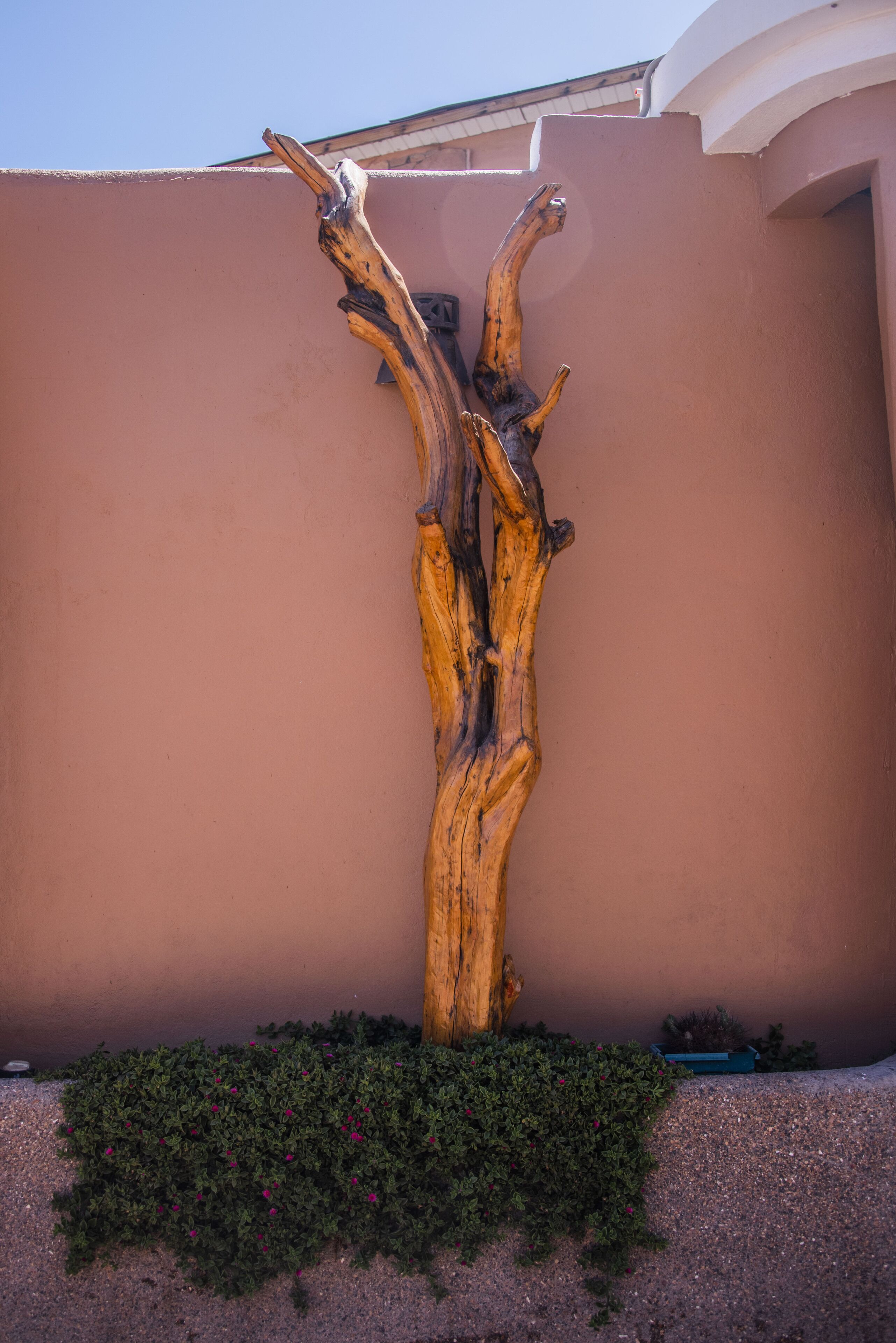 Photo - Hotel Parina Atacama