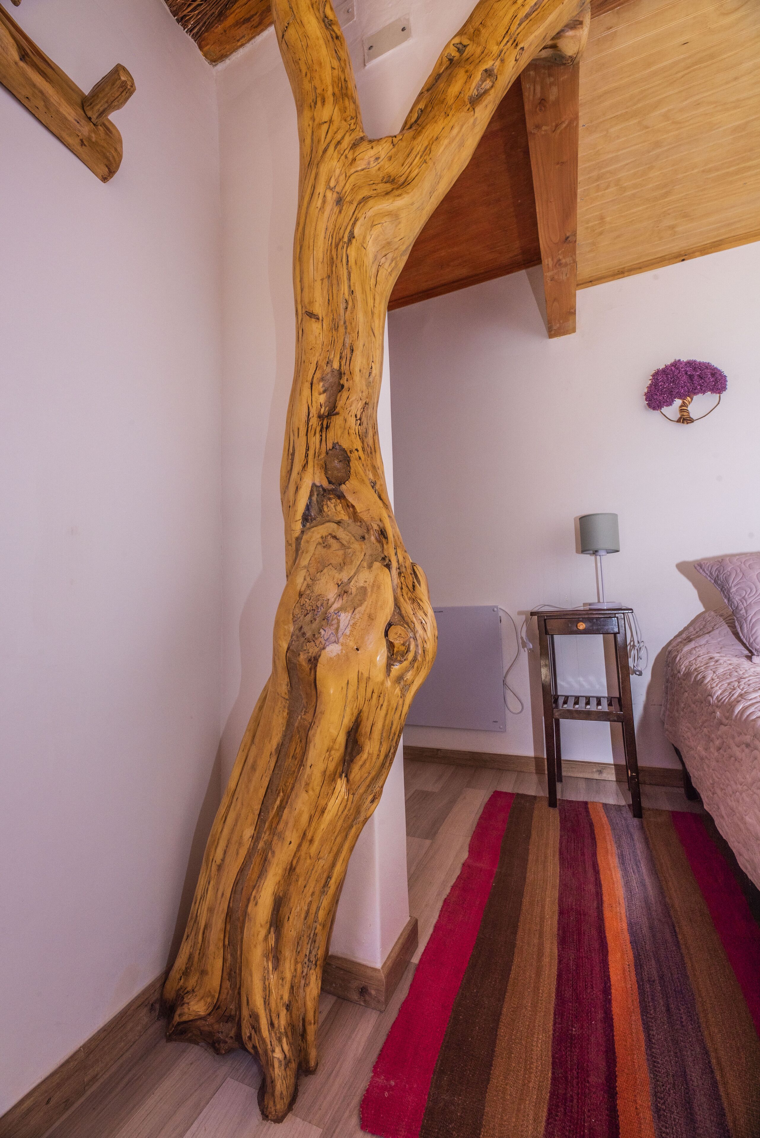 Foto - Hotel Parina Atacama