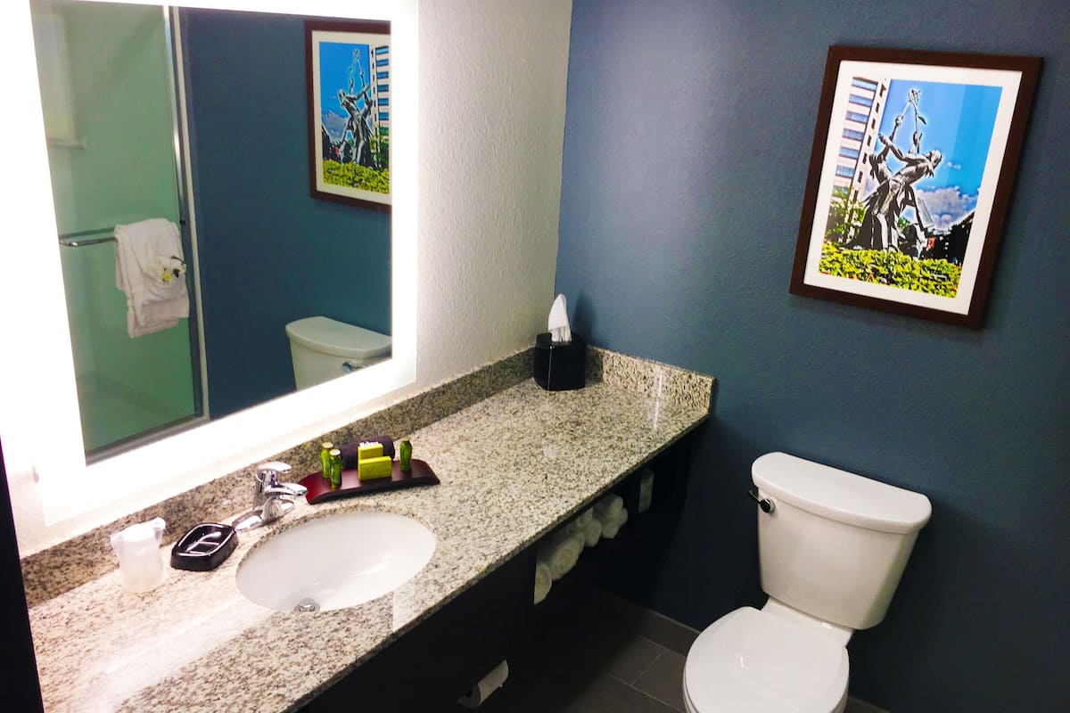 business studio, 1 king bed | bathroom | shower, free toiletries, hair dryer, towels