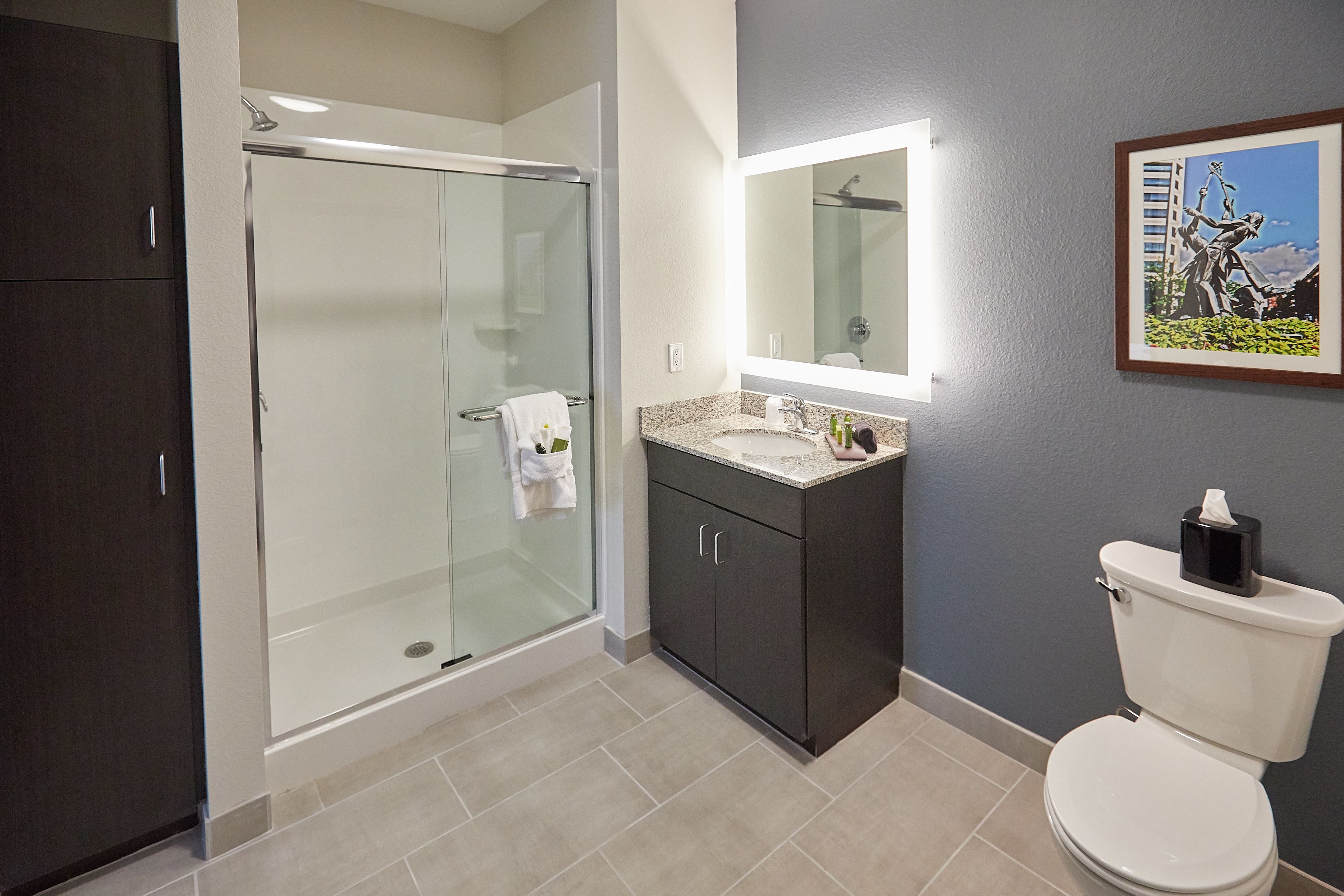 shower, free toiletries, hair dryer, towels