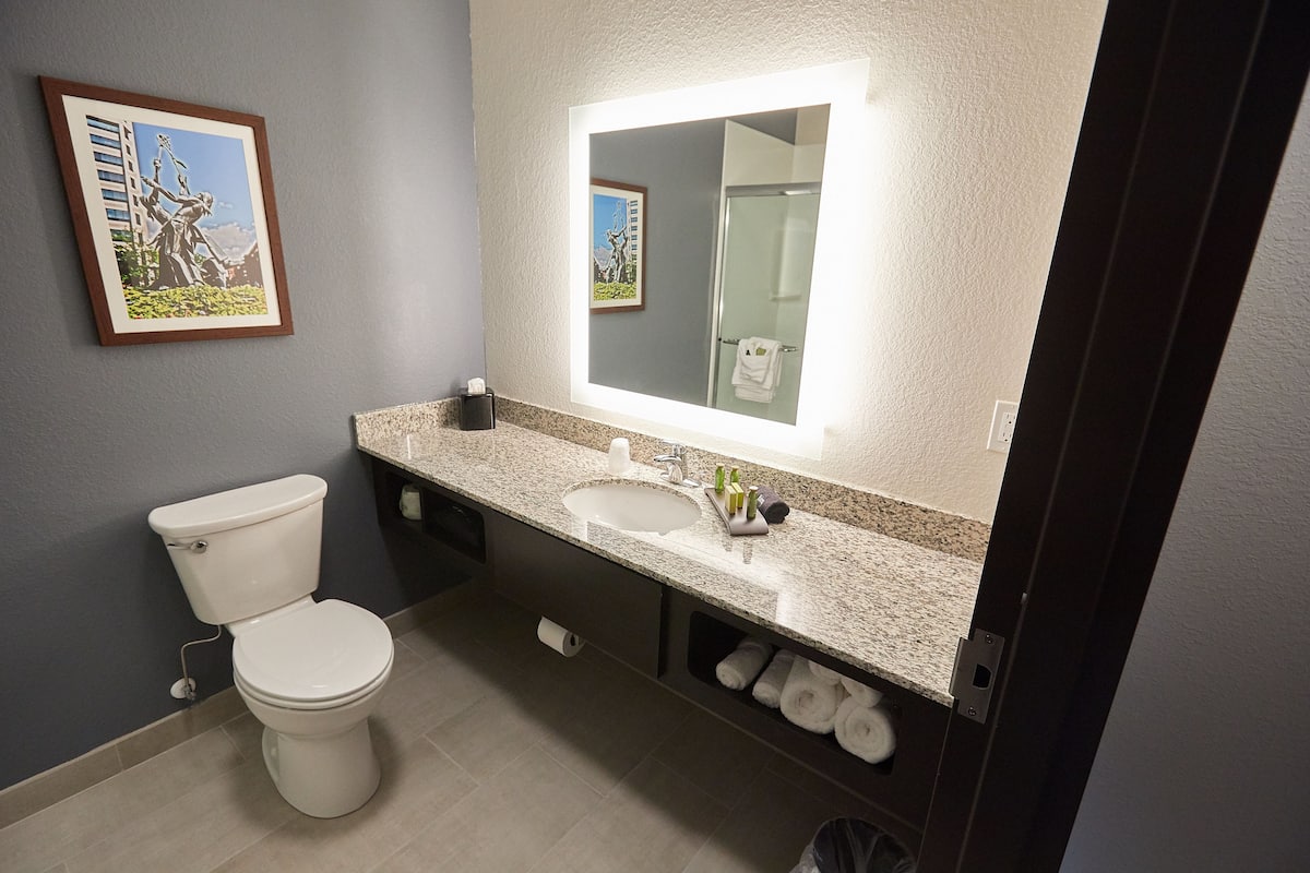 shower, free toiletries, hair dryer, towels