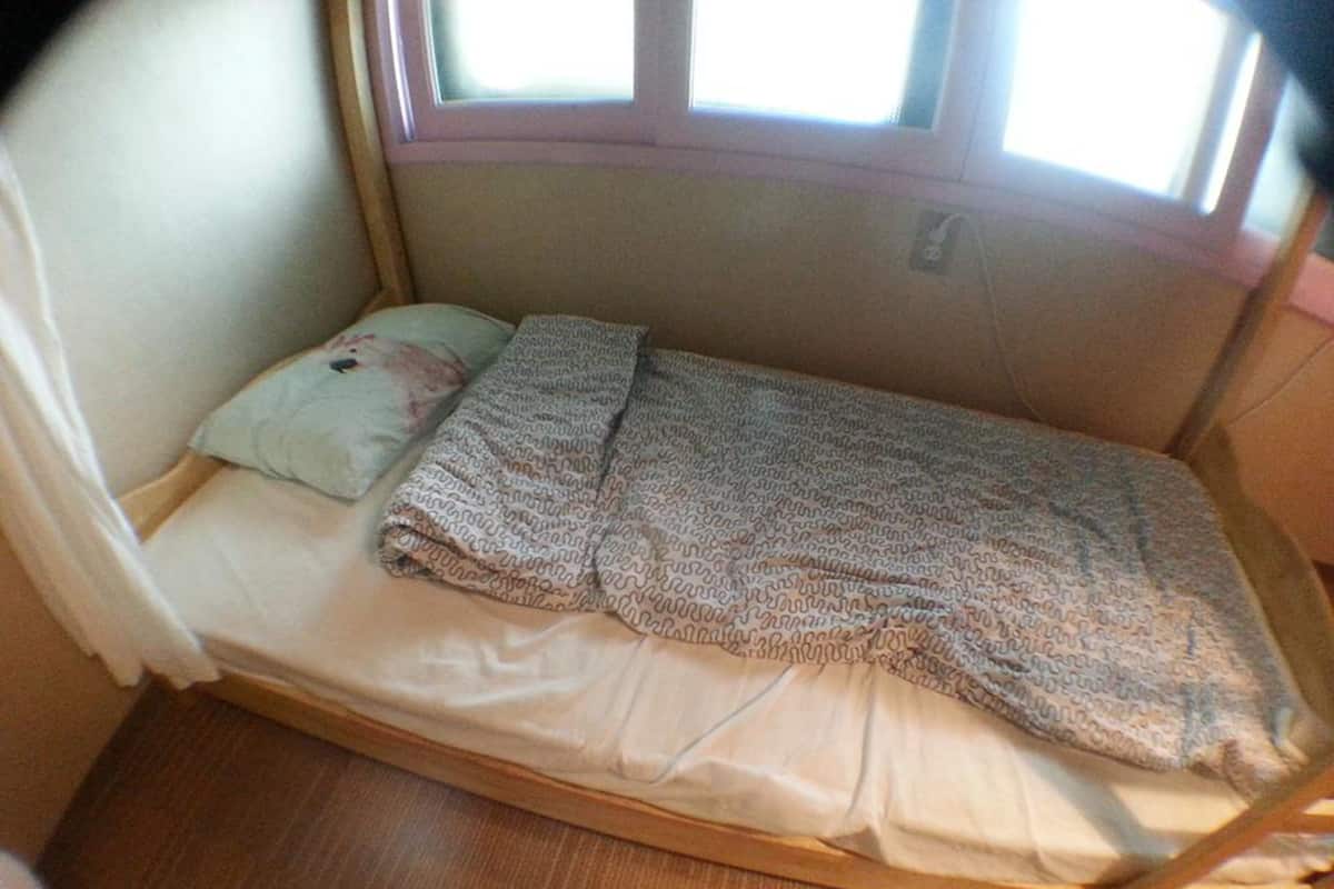 Shared Dormitory, Women only (4 persons) | Iron/ironing board, free WiFi