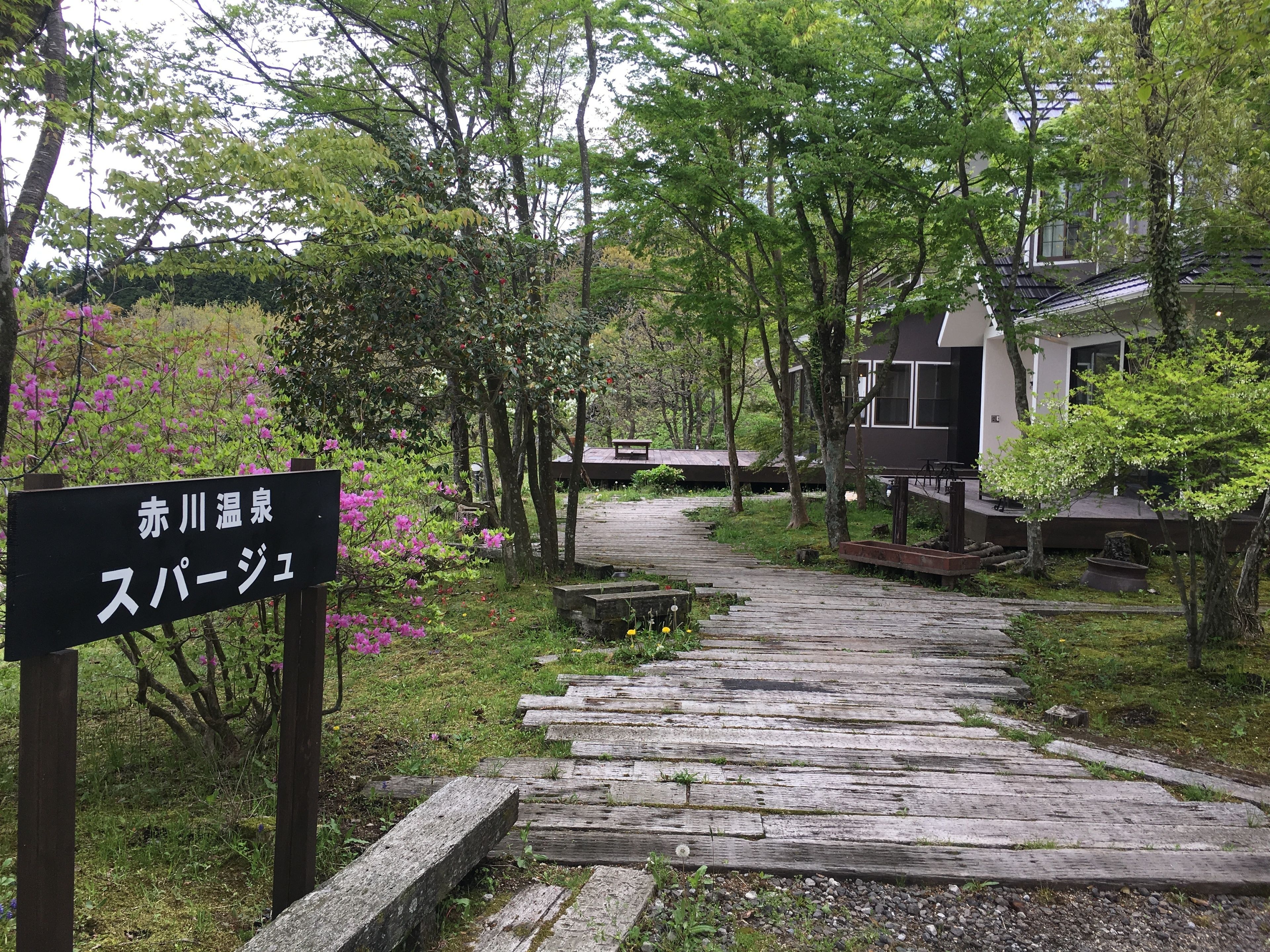 Garden