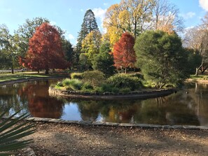 A tranquil park with a pond, surrounded by trees in autumn colors, and a clear sky. - Apartments On The Park (Orange)