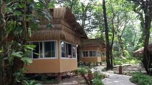 Une rangée de cabanes aux toits de chaume, entourées d’une végétation luxuriante.