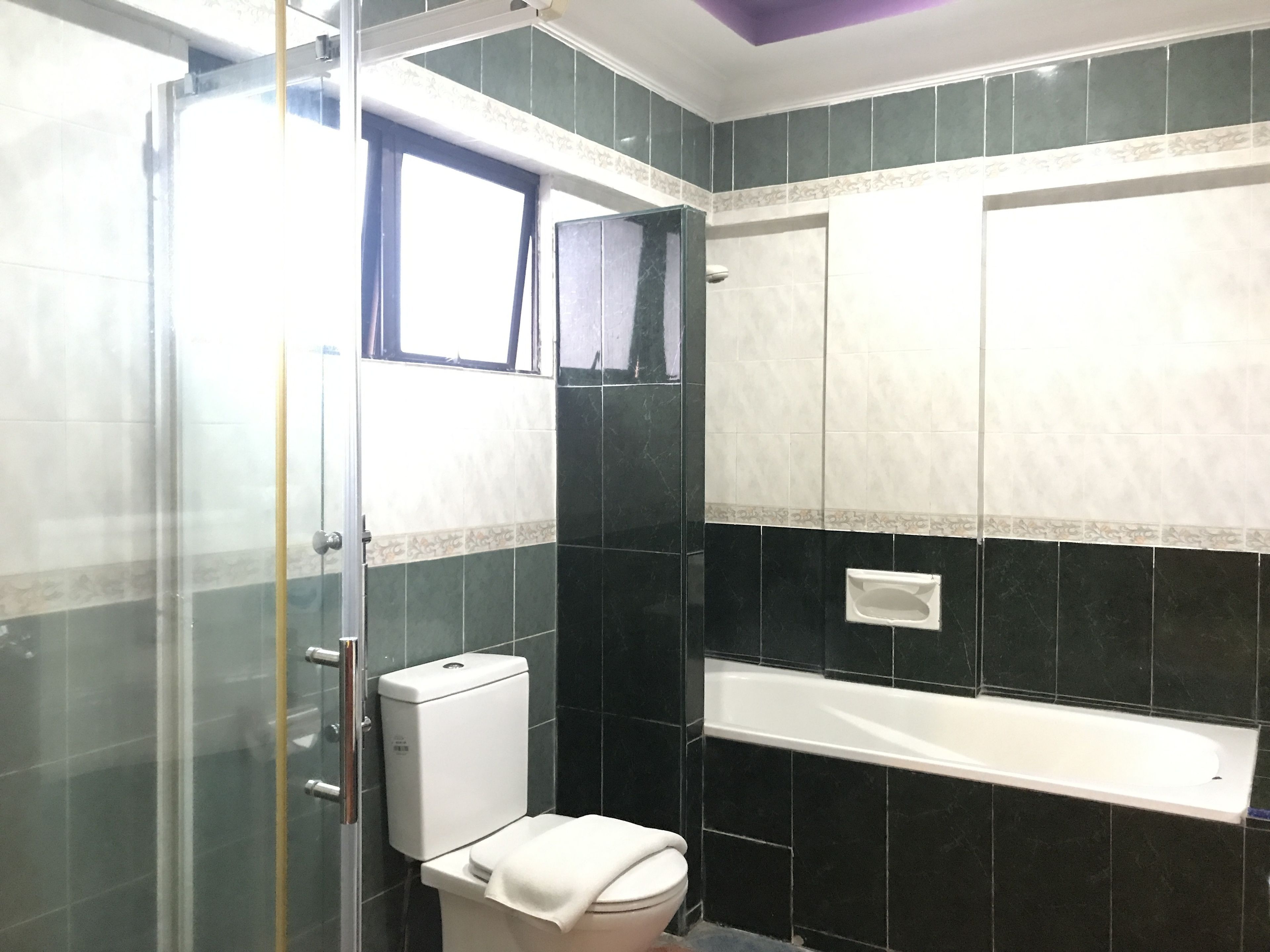 A bathroom with a toilet, a shower enclosure, and a bathtub.