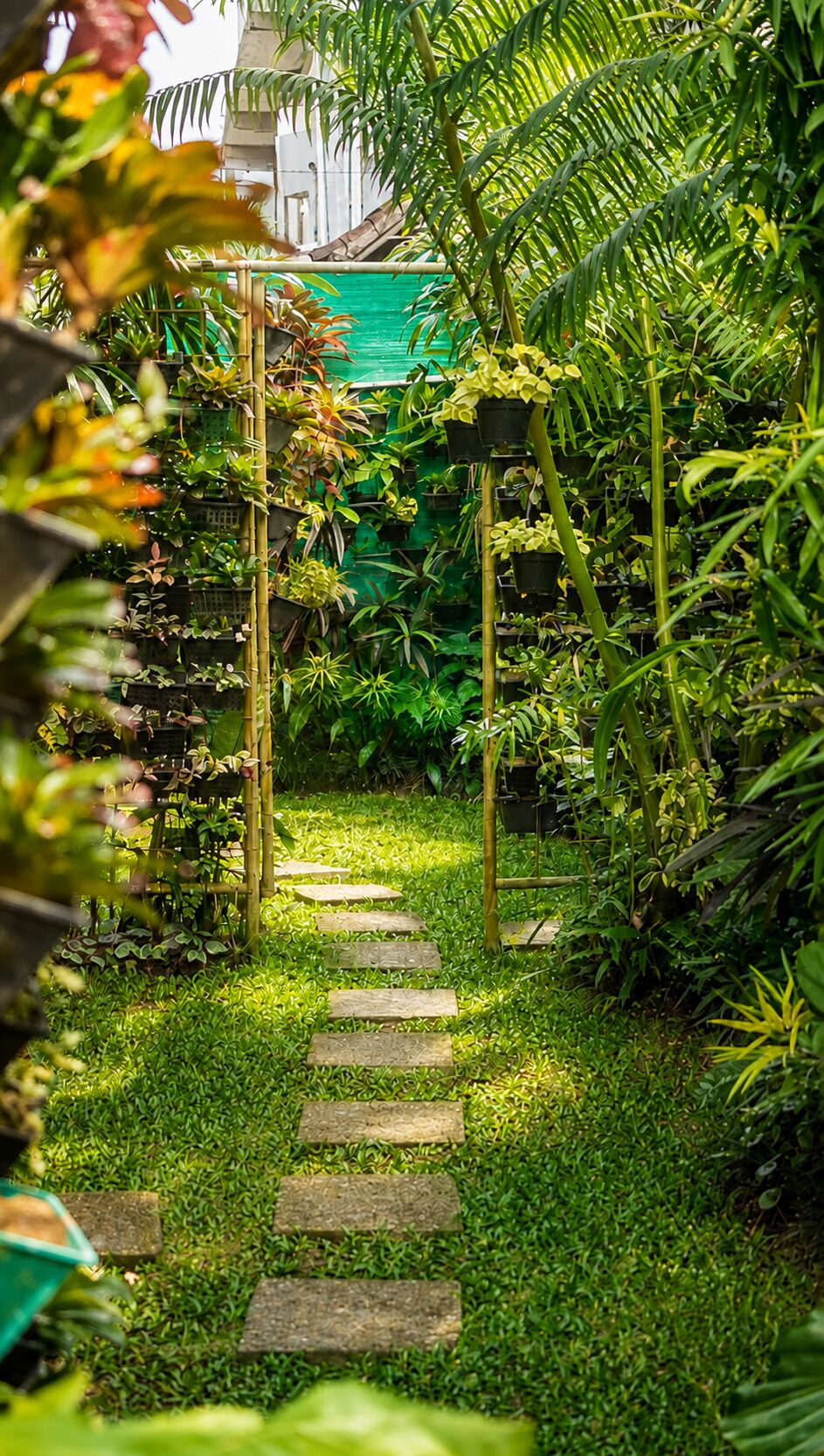 Un sendero de jardín con piedras que guían a través de abundante vegetación y plantas en macetas.