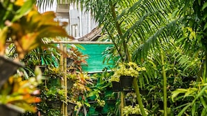Un sendero de jardín con piedras que guían a través de abundante vegetación y plantas en macetas.