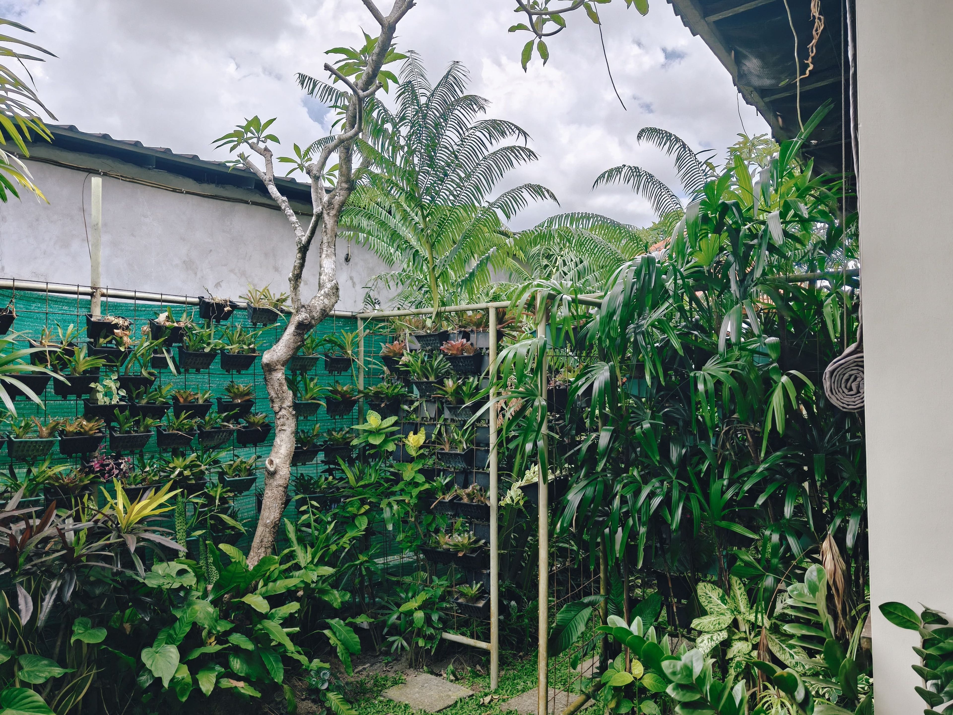 Un jardin luxuriant, avec différentes espèces de plantes et un arbre au premier plan.