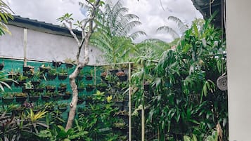 Un jardin luxuriant, avec différentes espèces de plantes et un arbre au premier plan.
