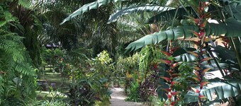 Khao Sok Palm Garden Resort