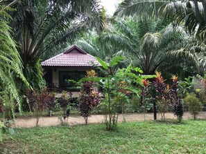 Vista da propriedade