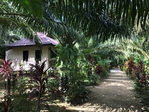 Property grounds - Khao Sok Palm Garden Resort (Phanom)