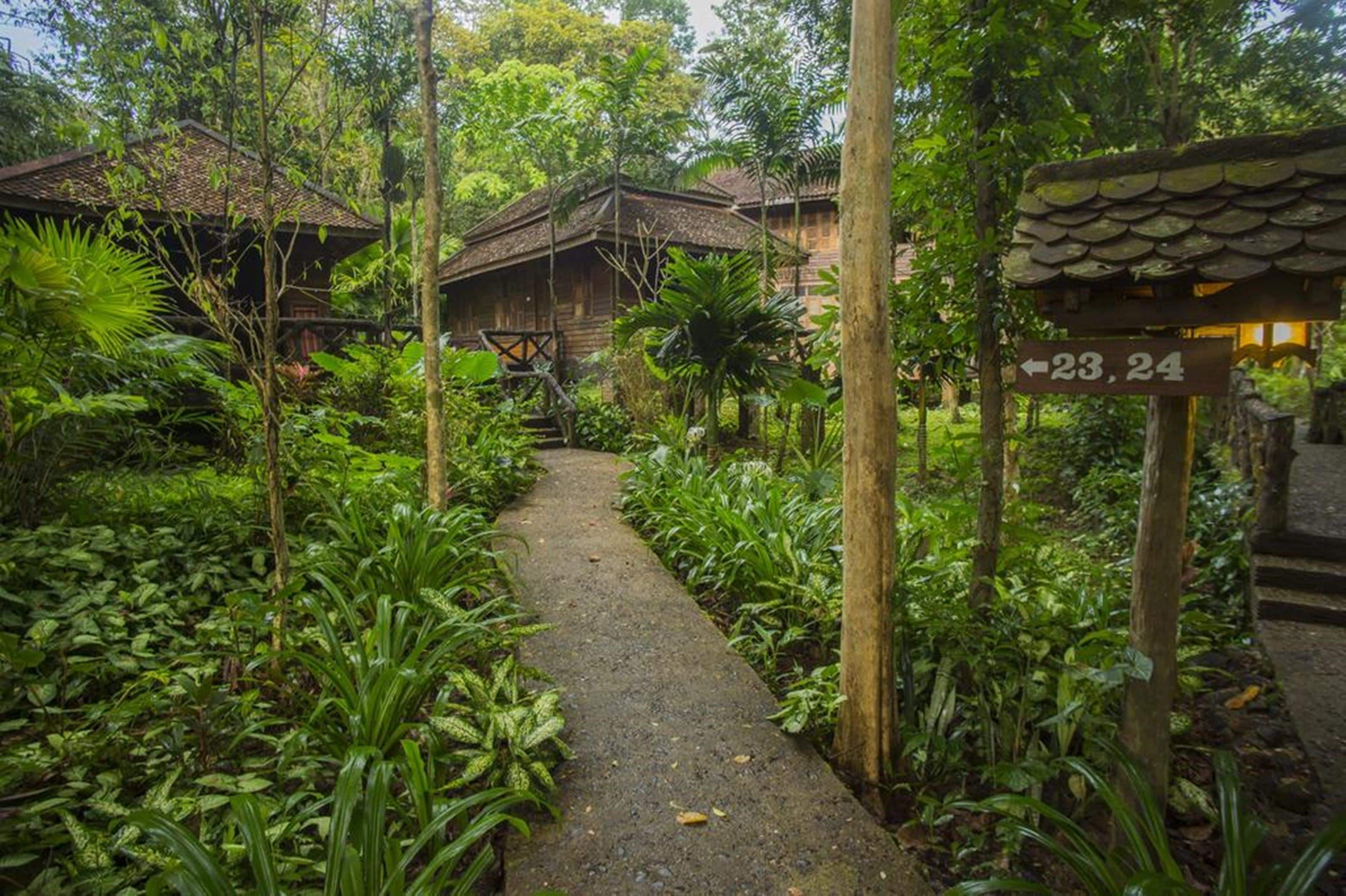 Un sendero que lleva a edificios de madera tradicionales rodeados de abundante vegetación.