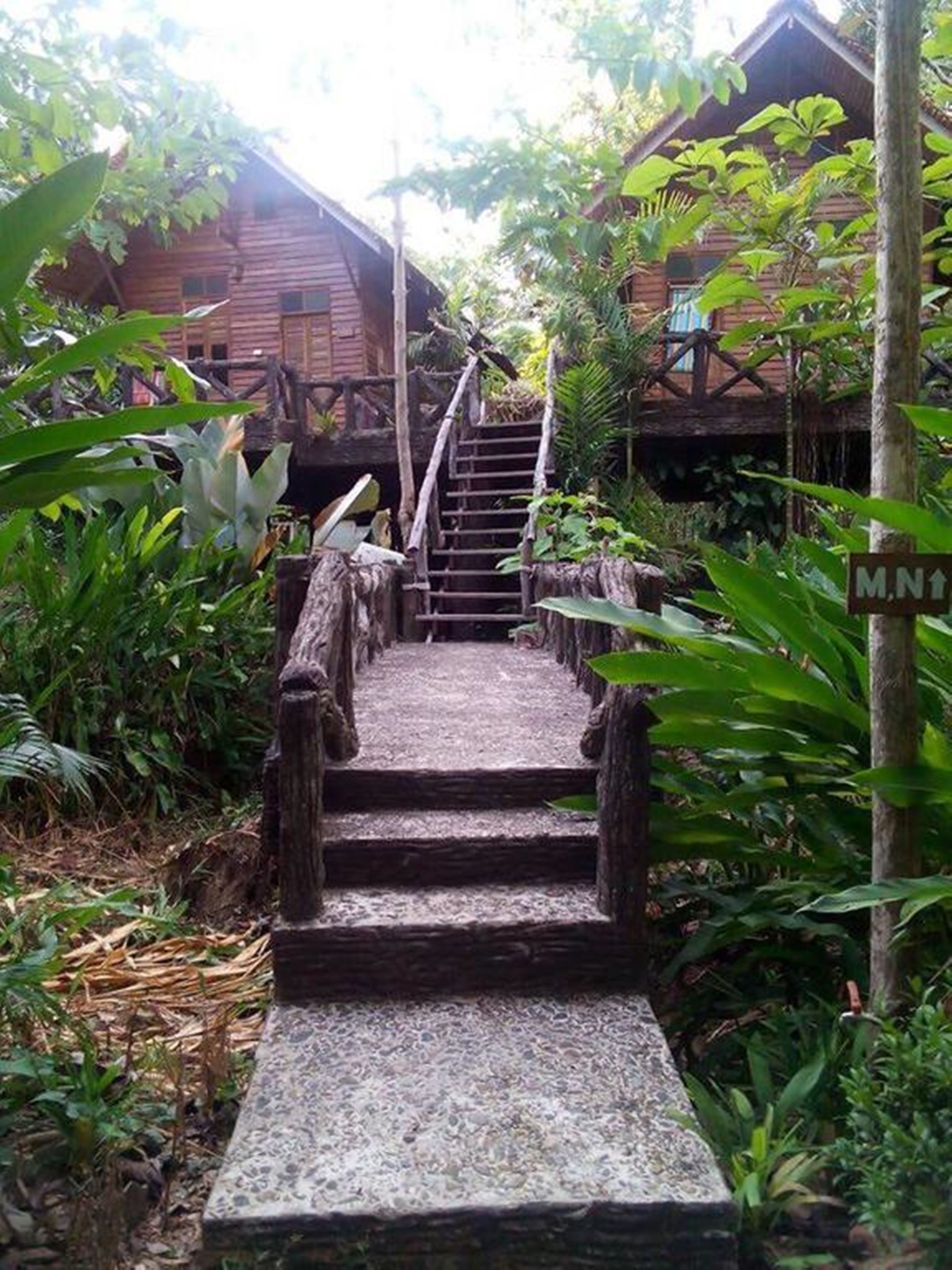 A wooden staircase leading to a wooden building surrounded by lush greenery.