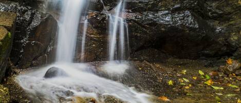 Una cascada fluye sobre rocas en un área boscosa.