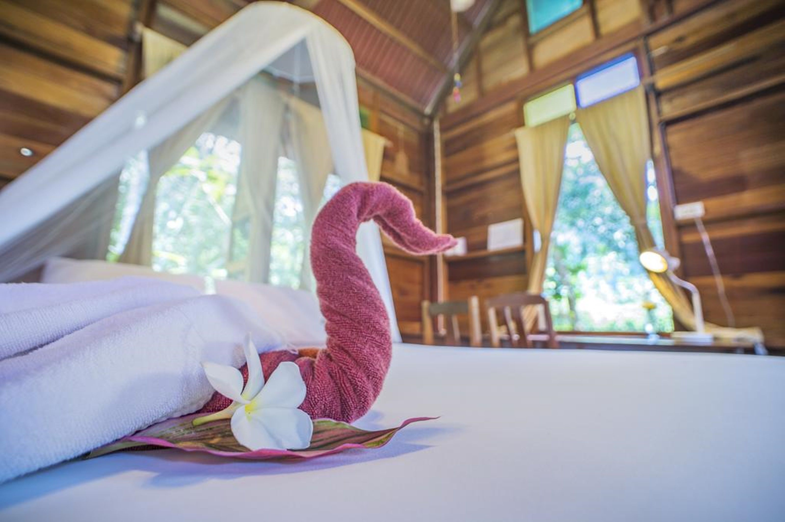 double river | hypo-allergenic bedding, in-room safe, desk, bed sheets