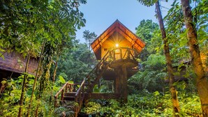 A treehouse with a wooden staircase leading up to it, surrounded by dense greenery.
